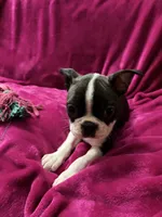 processed/e8a28860-99c6-4984-97b1-823ec633c07a/listing/8dc71cba-a44f-4bcd-93d0-0600d5d4209d/9a3df758-2836-4918-8c52-38dbf157c0f9