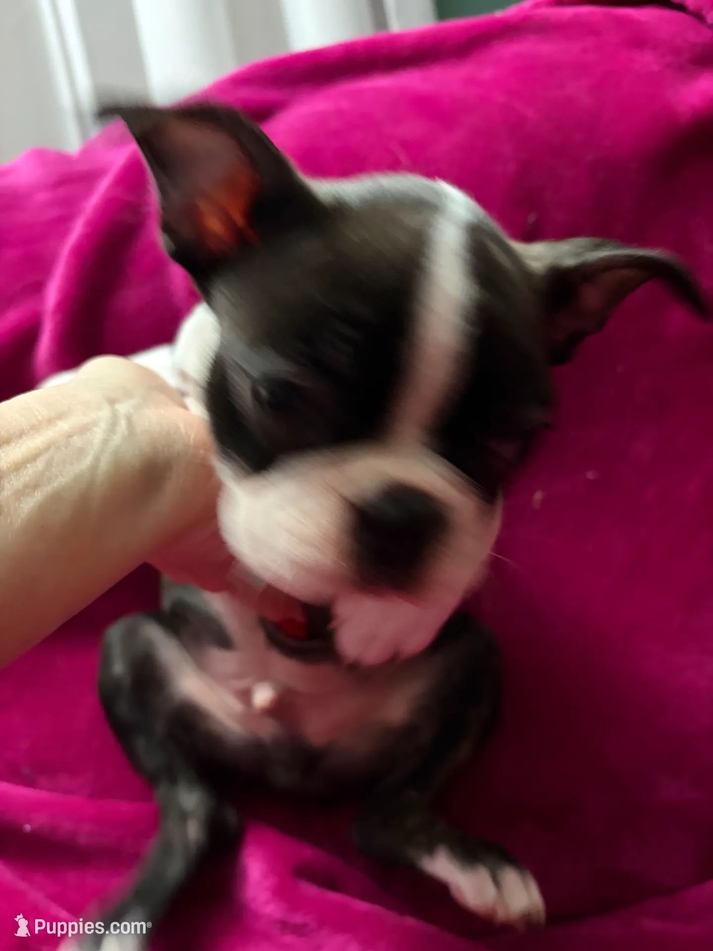 processed/e8a28860-99c6-4984-97b1-823ec633c07a/listing/8dc71cba-a44f-4bcd-93d0-0600d5d4209d/ba3be88e-5eb3-4d71-a535-d8fa8fa0d35b