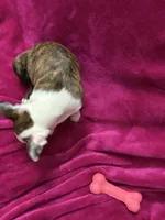 processed/e8a28860-99c6-4984-97b1-823ec633c07a/listing/bbd4c7a9-590b-4e5d-b47b-1a56a9f1ca90/2dc2c9fa-c744-4f17-b311-bd74c020082f