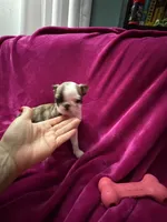 processed/e8a28860-99c6-4984-97b1-823ec633c07a/listing/bbd4c7a9-590b-4e5d-b47b-1a56a9f1ca90/ef225bb6-6359-4300-8ec6-5c83fc79df21