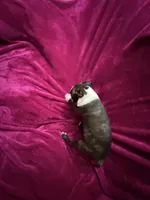 processed/e8a28860-99c6-4984-97b1-823ec633c07a/listing/fcc68c86-8c22-433d-b8ab-f1436b31dc9c/1255c084-80a5-4239-925e-113acf3c12ed