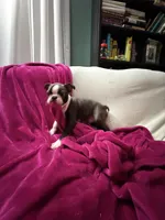 processed/e8a28860-99c6-4984-97b1-823ec633c07a/listing/fcc68c86-8c22-433d-b8ab-f1436b31dc9c/5b3e8a4e-1e3d-4016-aecc-1bb809679ad4