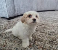 processed/e8a32d6e-c115-4a5d-979d-f9c05dbe6103/listing/5d42bf11-dfbd-4d23-8f70-8111a4ade5b3/0c86e619-fd1f-40eb-a744-f1d8b6938b18