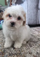 processed/e8a32d6e-c115-4a5d-979d-f9c05dbe6103/listing/5d42bf11-dfbd-4d23-8f70-8111a4ade5b3/452def32-cee1-486f-8c65-7b5429890f81