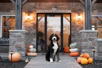 processed/e8a89ade-602b-4b9d-836e-10022d0fd8f4/facility/27002459-1aab-4624-a62a-9eac2f39537e