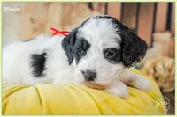 processed/e8a89ade-602b-4b9d-836e-10022d0fd8f4/listing/0064fcbb-914b-475f-b234-4cfdcc70bca2/2f06b309-6f50-49e6-97f9-d679b1496e59