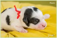 processed/e8a89ade-602b-4b9d-836e-10022d0fd8f4/listing/0064fcbb-914b-475f-b234-4cfdcc70bca2/5f167b3b-1380-449f-8652-7802eb651c1d