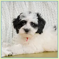 processed/e8a89ade-602b-4b9d-836e-10022d0fd8f4/listing/0064fcbb-914b-475f-b234-4cfdcc70bca2/b026ef8b-7853-43c9-af67-09bf7032c62a