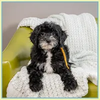 processed/e8a89ade-602b-4b9d-836e-10022d0fd8f4/listing/04c890d1-d1d9-4755-9f36-491ababf3a16/0197ec3c-092c-4e86-8d7e-1734523573c3