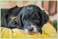 processed/e8a89ade-602b-4b9d-836e-10022d0fd8f4/listing/04c890d1-d1d9-4755-9f36-491ababf3a16/076e8a1b-5ad8-4652-970b-b4c18b209a98