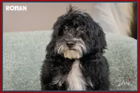 processed/e8a89ade-602b-4b9d-836e-10022d0fd8f4/listing/04c890d1-d1d9-4755-9f36-491ababf3a16/a1bc15e9-c8eb-4c16-ab86-bae893ae717a