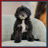 processed/e8a89ade-602b-4b9d-836e-10022d0fd8f4/listing/04c890d1-d1d9-4755-9f36-491ababf3a16/a2753aea-2878-4790-80ea-9905be5571ed