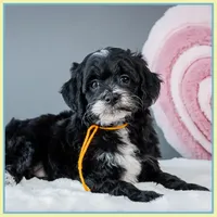 processed/e8a89ade-602b-4b9d-836e-10022d0fd8f4/listing/04c890d1-d1d9-4755-9f36-491ababf3a16/effed898-5f49-438f-a3ea-a68c83ab1cc5