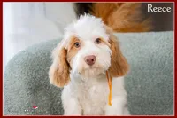 processed/e8a89ade-602b-4b9d-836e-10022d0fd8f4/listing/20bcef07-6d3e-4f85-8c4c-a4e2a8c2c50c/37e1a236-36a9-49c4-8621-dd3cb3aafd6b