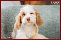 processed/e8a89ade-602b-4b9d-836e-10022d0fd8f4/listing/20bcef07-6d3e-4f85-8c4c-a4e2a8c2c50c/62d54fd5-e07d-4568-a39c-0ccbecab36b1