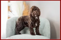 processed/e8a89ade-602b-4b9d-836e-10022d0fd8f4/listing/2113b311-9816-4c48-9114-0d60aae7b2de/10c093da-1ebb-43bc-8af3-23c4247fa5ed