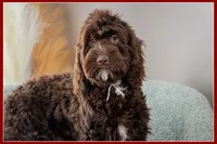 processed/e8a89ade-602b-4b9d-836e-10022d0fd8f4/listing/2113b311-9816-4c48-9114-0d60aae7b2de/7b2c8dcf-c281-4f8b-9d81-a7770abf1bf6