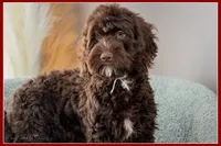 processed/e8a89ade-602b-4b9d-836e-10022d0fd8f4/listing/2113b311-9816-4c48-9114-0d60aae7b2de/9bbb2289-363e-46a3-b3f0-5f63bc3a878c