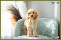 processed/e8a89ade-602b-4b9d-836e-10022d0fd8f4/listing/3f32ea2e-43d7-4d3a-8b6c-0e72ad4e4ebf/8142636e-1eba-4fc9-b30e-b2017a56f2bb