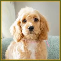 processed/e8a89ade-602b-4b9d-836e-10022d0fd8f4/listing/3f32ea2e-43d7-4d3a-8b6c-0e72ad4e4ebf/a0d14ec3-fe73-422d-b2c9-82a333ceb740