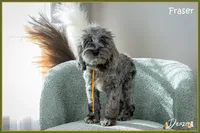 processed/e8a89ade-602b-4b9d-836e-10022d0fd8f4/listing/517c5eb1-cd54-4719-abc7-ccb99d7827f1/3715d510-5303-463a-b256-58d6b7b92cf6