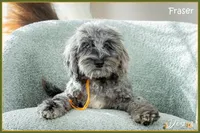 processed/e8a89ade-602b-4b9d-836e-10022d0fd8f4/listing/517c5eb1-cd54-4719-abc7-ccb99d7827f1/df1e7c4a-0dac-408b-a354-c42a3db50e9f