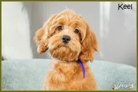 processed/e8a89ade-602b-4b9d-836e-10022d0fd8f4/listing/6368d9ec-879d-4a9f-b8c5-84dffbc6790e/c8c17294-823f-4d0e-8a9d-e022c3e9af95