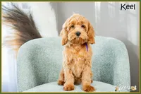 processed/e8a89ade-602b-4b9d-836e-10022d0fd8f4/listing/6368d9ec-879d-4a9f-b8c5-84dffbc6790e/d7ed857f-1886-422b-8830-474fbe2014d0