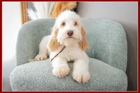 processed/e8a89ade-602b-4b9d-836e-10022d0fd8f4/listing/9b4646cd-4168-4b36-b4f2-5a563c1807e5/13bb228a-214b-422d-bf7d-400e8524ae76