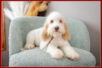 processed/e8a89ade-602b-4b9d-836e-10022d0fd8f4/listing/9b4646cd-4168-4b36-b4f2-5a563c1807e5/c88537a3-588e-43d1-9d0a-141872d111cb