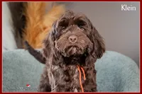 processed/e8a89ade-602b-4b9d-836e-10022d0fd8f4/listing/9c487b14-b65f-41b5-bd1e-ff53b62c2d3f/2766e432-4f83-40dc-a1a3-d417d4b20923