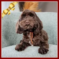 processed/e8a89ade-602b-4b9d-836e-10022d0fd8f4/listing/9c487b14-b65f-41b5-bd1e-ff53b62c2d3f/9db77cb9-b537-46a7-886e-73123942c292