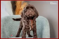 processed/e8a89ade-602b-4b9d-836e-10022d0fd8f4/listing/9c487b14-b65f-41b5-bd1e-ff53b62c2d3f/e028d6e0-0b0f-43d4-9013-d5843a34c3cd