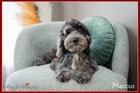 processed/e8a89ade-602b-4b9d-836e-10022d0fd8f4/listing/b6ea69f6-8a87-4986-9137-129f63d4de44/3cd2ba43-8144-45a2-8435-6b2cf9f54d6a