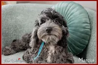 processed/e8a89ade-602b-4b9d-836e-10022d0fd8f4/listing/b6ea69f6-8a87-4986-9137-129f63d4de44/9fa3bfde-bfb5-4463-b50e-cbbaa8ac6820