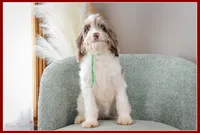 processed/e8a89ade-602b-4b9d-836e-10022d0fd8f4/listing/c23b396a-24e6-416e-bc8c-e40aa429c03a/3a9d9735-d770-463f-aba1-196814c6651a