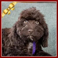 processed/e8a89ade-602b-4b9d-836e-10022d0fd8f4/listing/c2cc7ed7-5b72-4016-b644-a7c852eeaf99/2df4a2c1-6aef-4d3c-b29f-e105eed2a964