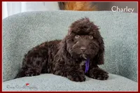 processed/e8a89ade-602b-4b9d-836e-10022d0fd8f4/listing/c2cc7ed7-5b72-4016-b644-a7c852eeaf99/7b65a23b-84aa-4941-9adc-3d4ce4e881d7