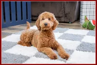 processed/e8a89ade-602b-4b9d-836e-10022d0fd8f4/listing/c43f0f6a-c0e6-4e0a-ae3f-732e4fbeb008/2b4a55f6-9852-44a9-a977-a003b28d5eb1