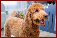 processed/e8a89ade-602b-4b9d-836e-10022d0fd8f4/listing/c43f0f6a-c0e6-4e0a-ae3f-732e4fbeb008/43c35b0d-c874-4486-8a9e-c44c97f134f5