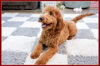 processed/e8a89ade-602b-4b9d-836e-10022d0fd8f4/listing/c43f0f6a-c0e6-4e0a-ae3f-732e4fbeb008/8be65418-cf64-4cdc-9307-8238759bf9d0