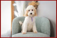 processed/e8a89ade-602b-4b9d-836e-10022d0fd8f4/listing/c7215e97-c7ff-426a-a1c4-5418eedeeab9/f9c2fdc0-e605-478c-870f-45bd31d0341c