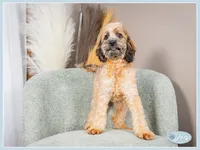 processed/e8a89ade-602b-4b9d-836e-10022d0fd8f4/listing/d02bc961-8146-4052-8711-3c15e70674f6/1448d477-881a-4a6c-8f52-40481bfc7c99