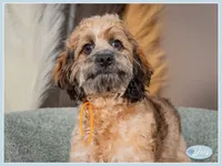 processed/e8a89ade-602b-4b9d-836e-10022d0fd8f4/listing/d02bc961-8146-4052-8711-3c15e70674f6/68316031-1115-4145-9445-7dddbab2dd40