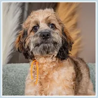 processed/e8a89ade-602b-4b9d-836e-10022d0fd8f4/listing/d02bc961-8146-4052-8711-3c15e70674f6/ab398d89-2075-4fe4-91d3-e5873fa032eb