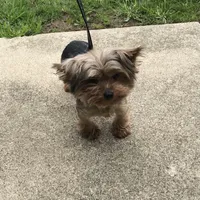 processed/e8bbced1-e13d-4b00-a700-f9dc239db56a/facility/43659c5a-aa44-4ba1-9756-be0c3361a713