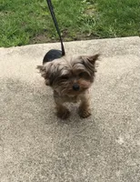 processed/e8bbced1-e13d-4b00-a700-f9dc239db56a/facility/43659c5a-aa44-4ba1-9756-be0c3361a713