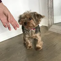 processed/e8bbced1-e13d-4b00-a700-f9dc239db56a/facility/73bc820e-e4ba-4ec0-9d90-cf79817d09bc