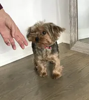 processed/e8bbced1-e13d-4b00-a700-f9dc239db56a/facility/73bc820e-e4ba-4ec0-9d90-cf79817d09bc