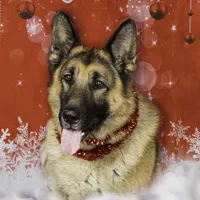 processed/e8bbced1-e13d-4b00-a700-f9dc239db56a/facility/8124ad98-c250-4156-ab78-9012a740b4f4